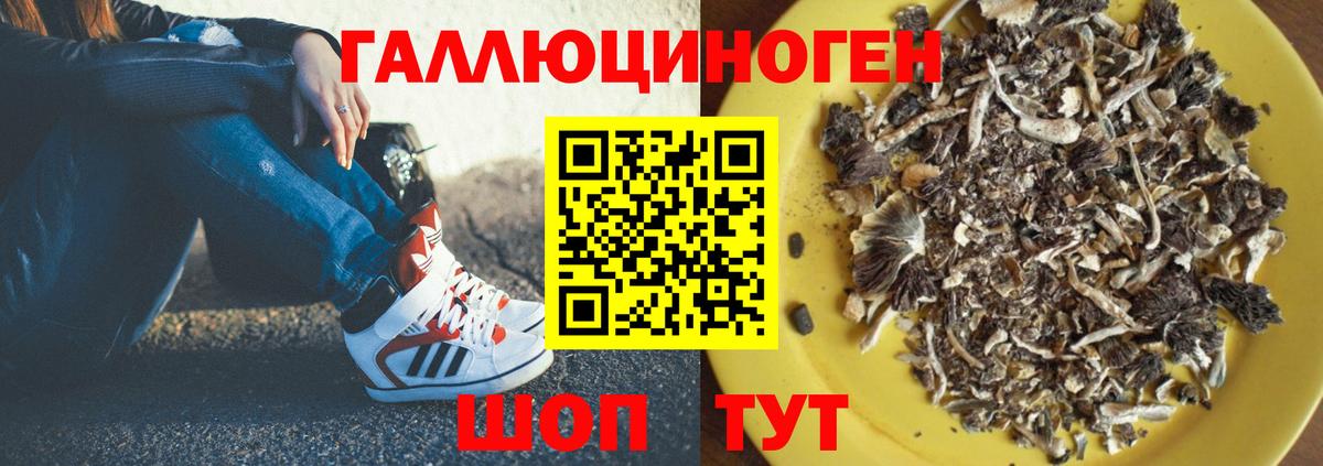 Лсд 25  Вход с VPN  Канабис  Меф   Коммунар  Гашиш 