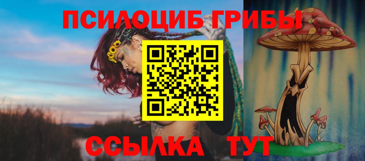 Псилоцибиновые грибы прущие грибы  Вход с VPN  Коммунар 